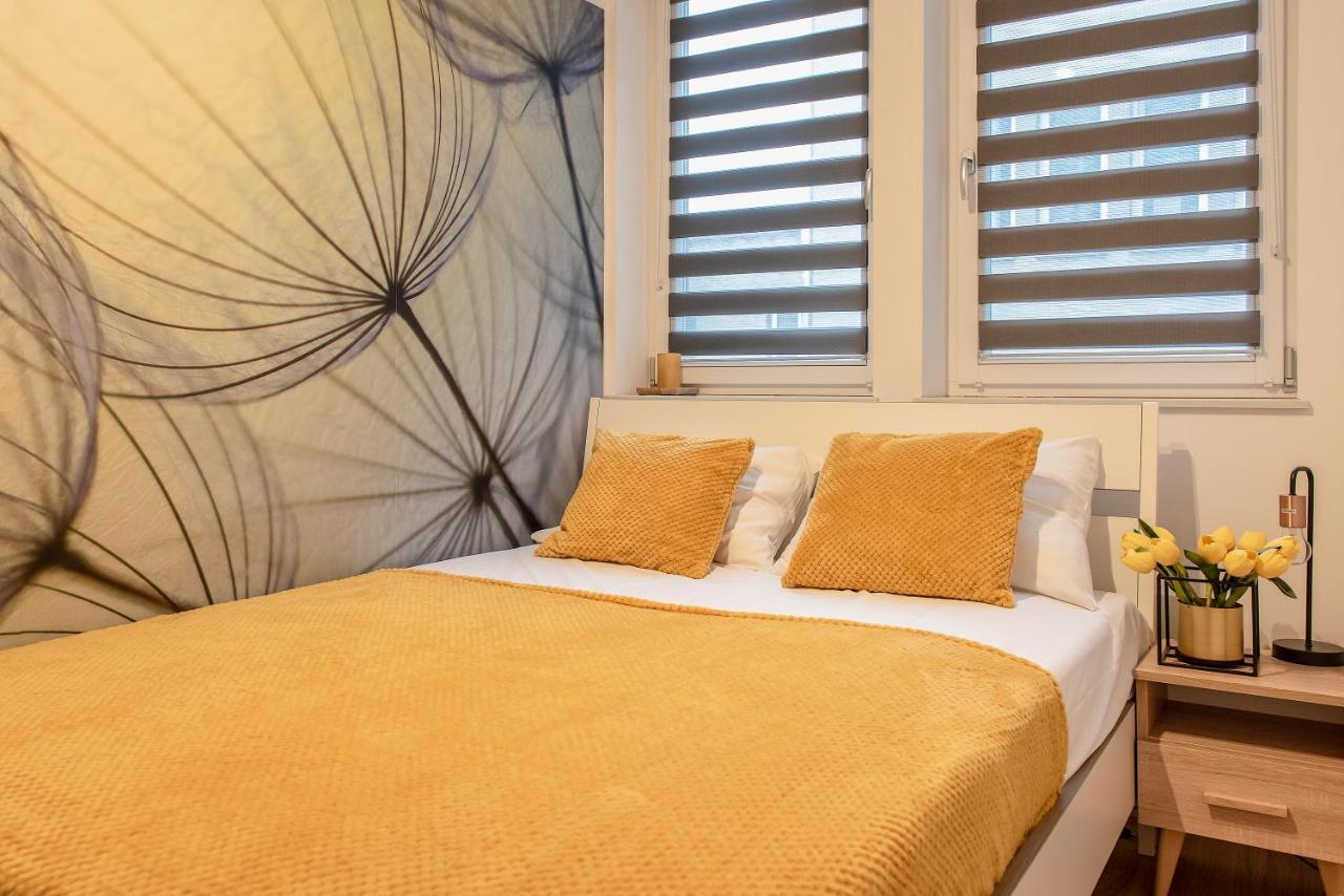 3D Kosciuszki 19 Apartament كراكوفيا المظهر الخارجي الصورة