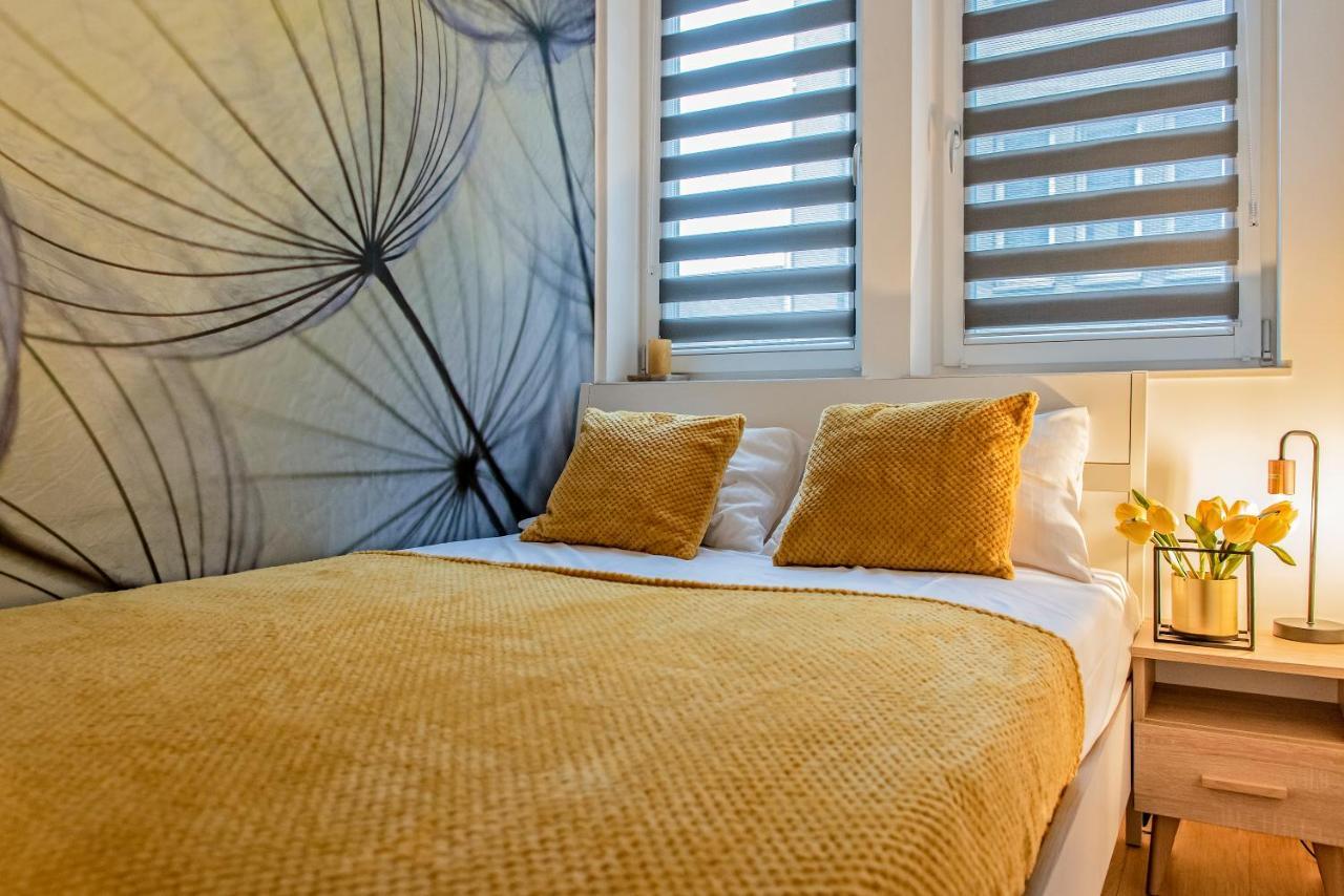 3D Kosciuszki 19 Apartament كراكوفيا المظهر الخارجي الصورة
